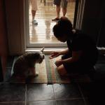 넘 귀족적인 강아지